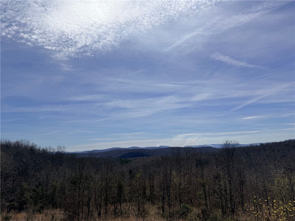 Property Photo:  000 Able Drive  AR 72675 