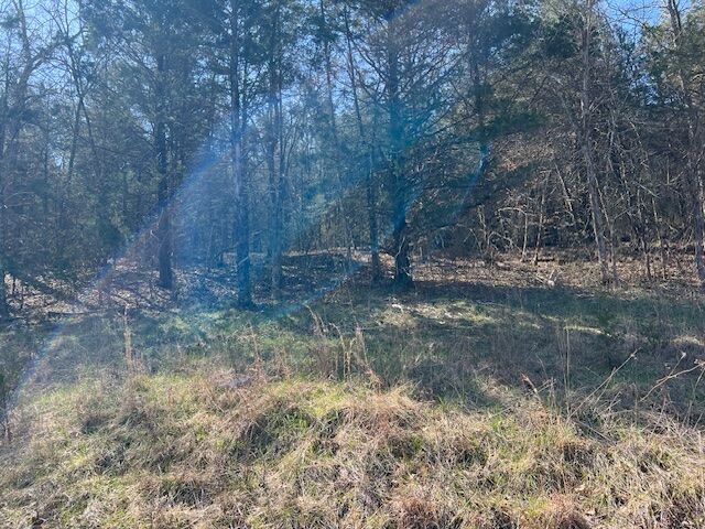 Property Photo:  29 Wild Turkey Drive  AR 72631 