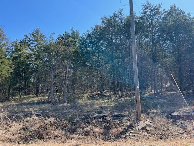 Property Photo:  96 Valley Drive  AR 72631 