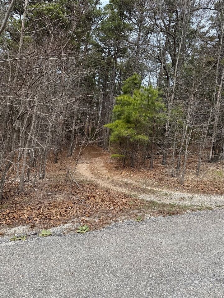 Property Photo:  0 Co Rd 108  AR 72632 