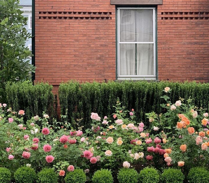 Property Photo:  43 Waverly Street  MA 02445 