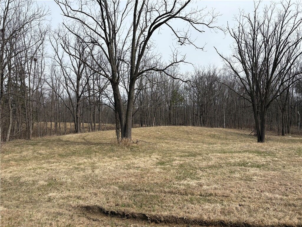 Property Photo:  3220 County Road 28  NY 14891 