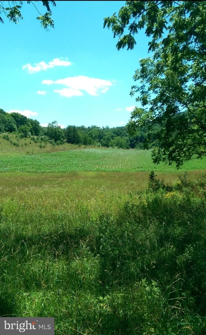 Property Photo:  1112 Stony Hill Road  VA 22603 