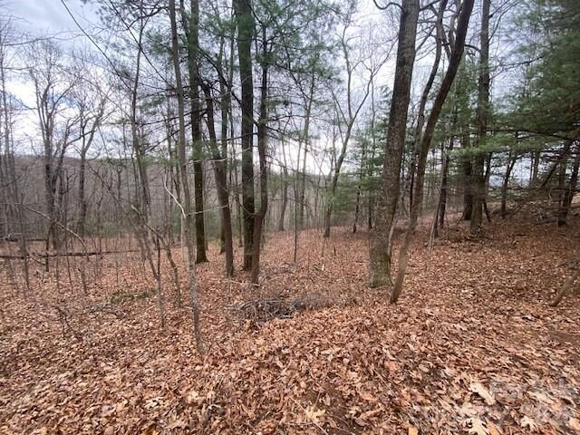 Property Photo:  395 W Chestnut Ridges Road 14  NC 28739 