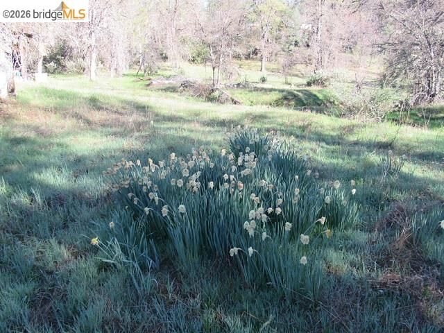 Property Photo: 17060 Jupiter Dr. CA 95383