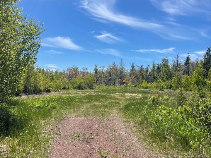 Lot 95-5 P'Tit Barachois Road — photo 1