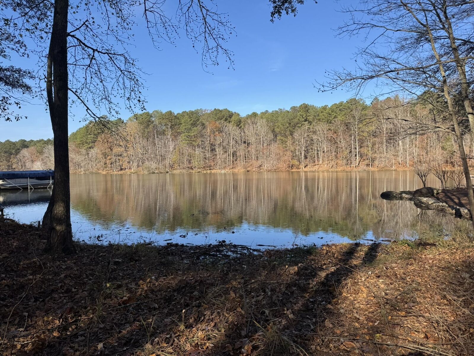 Property Photo:  1290 Tal Lewis Road  GA 30678 