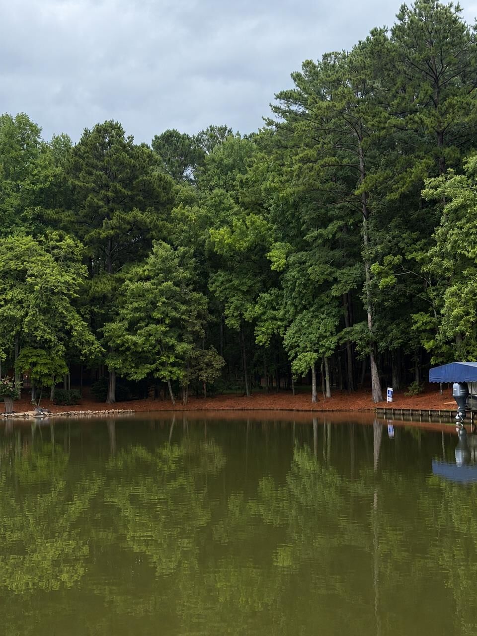 Property Photo: 1290 Tal Lewis Road GA 30678