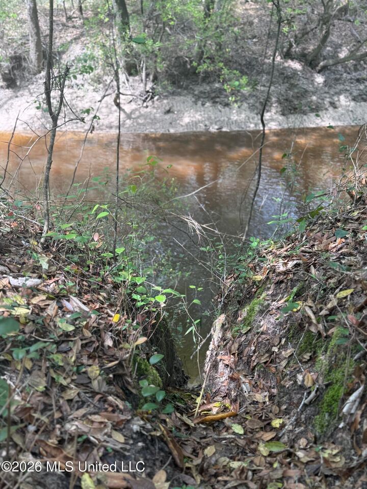 Property Photo:  347 E Old Highway 49  MS 39401 