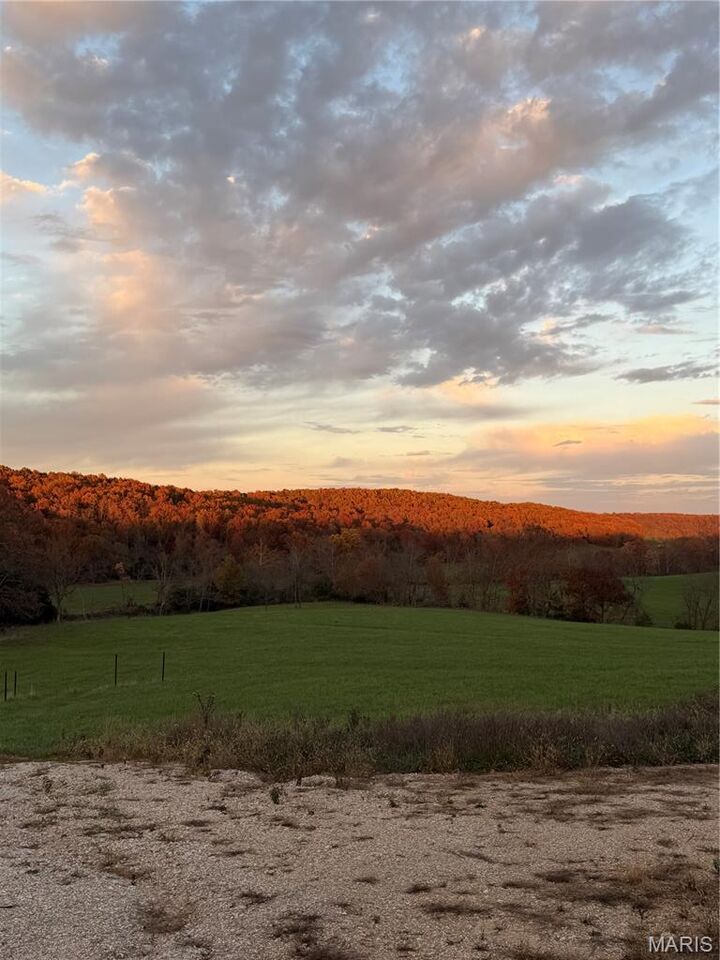 Property Photo:  11916 Brainerd  MO 65452 