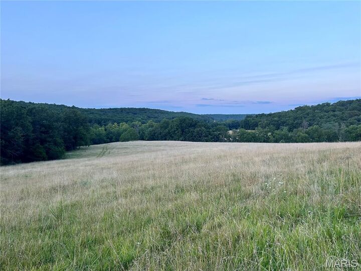 Property Photo:  11916 Brainerd  MO 65452 