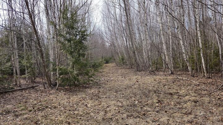 Property Photo:  0 Woodland Drive 11  ME 04419 