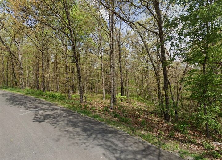 Property Photo: Lot 13 Dunkeld Drive AR 72715