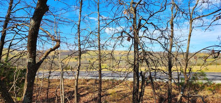 Property Photo: 000 Ak Hwy S Ak Highway S MO 65608