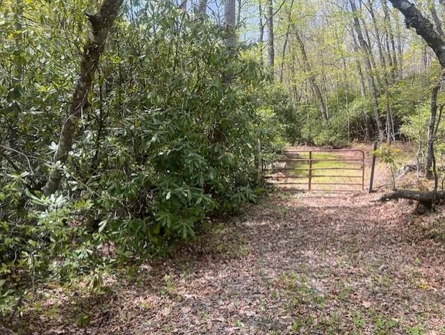 Property Photo:  Lot 76 Cove Creek  VA 24651 