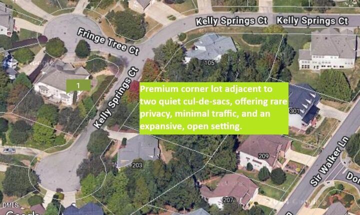 Property Photo:  101 Fringe Tree Court  NC 27519 