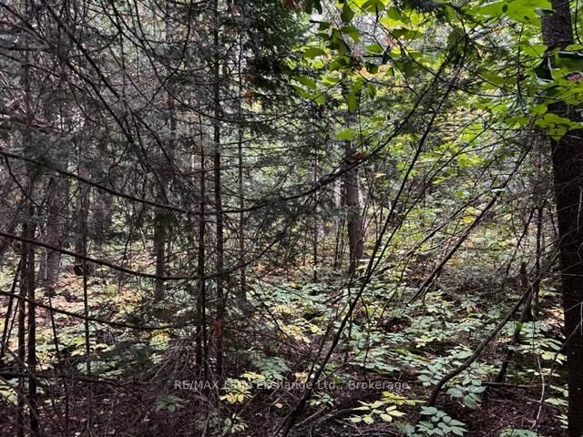 4 Shore Road — photo 1