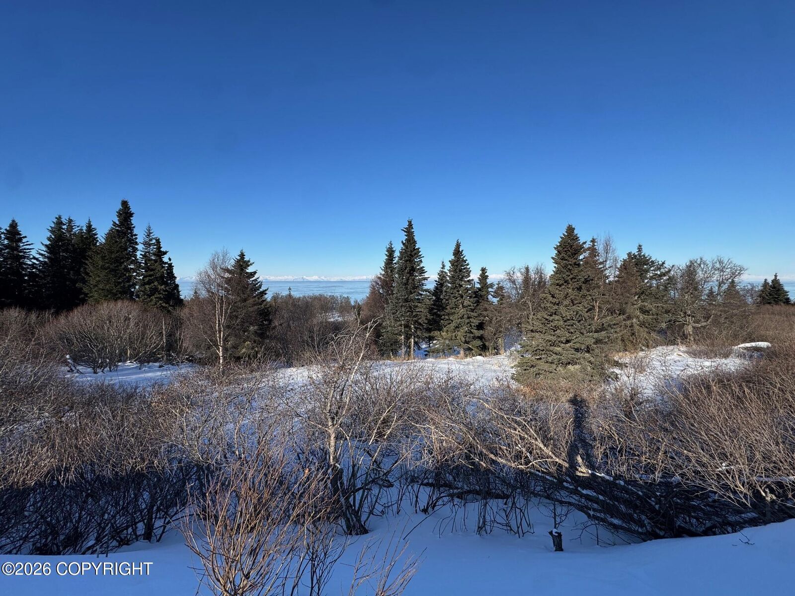 Property Photo:  L6 Mead Court  AK 99568 