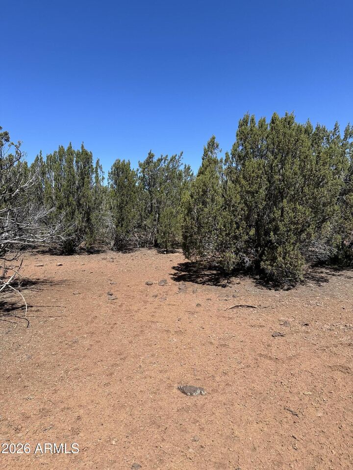 Property Photo:  30 Acr 3190 Road 351  AZ 85940 