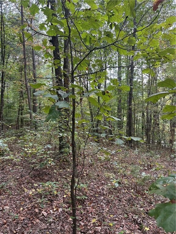 Property Photo:  3842 Salacoa-Tract A  GA 30183 