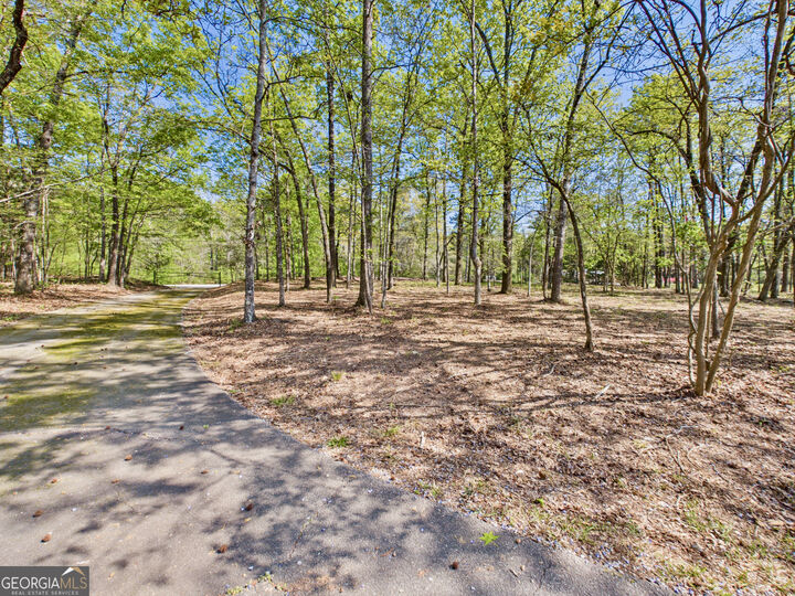 Property Photo:  233 Ga Highway 315  GA 31808 