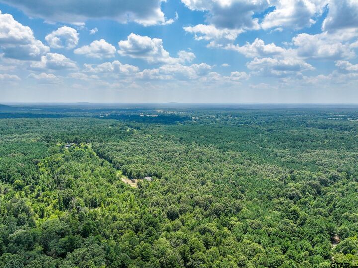 Property Photo:  229 Pr 3900 Rd  TX 75644 