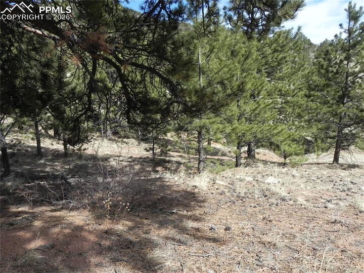 Property Photo:  1087 Monarch Drive  CO 80813 