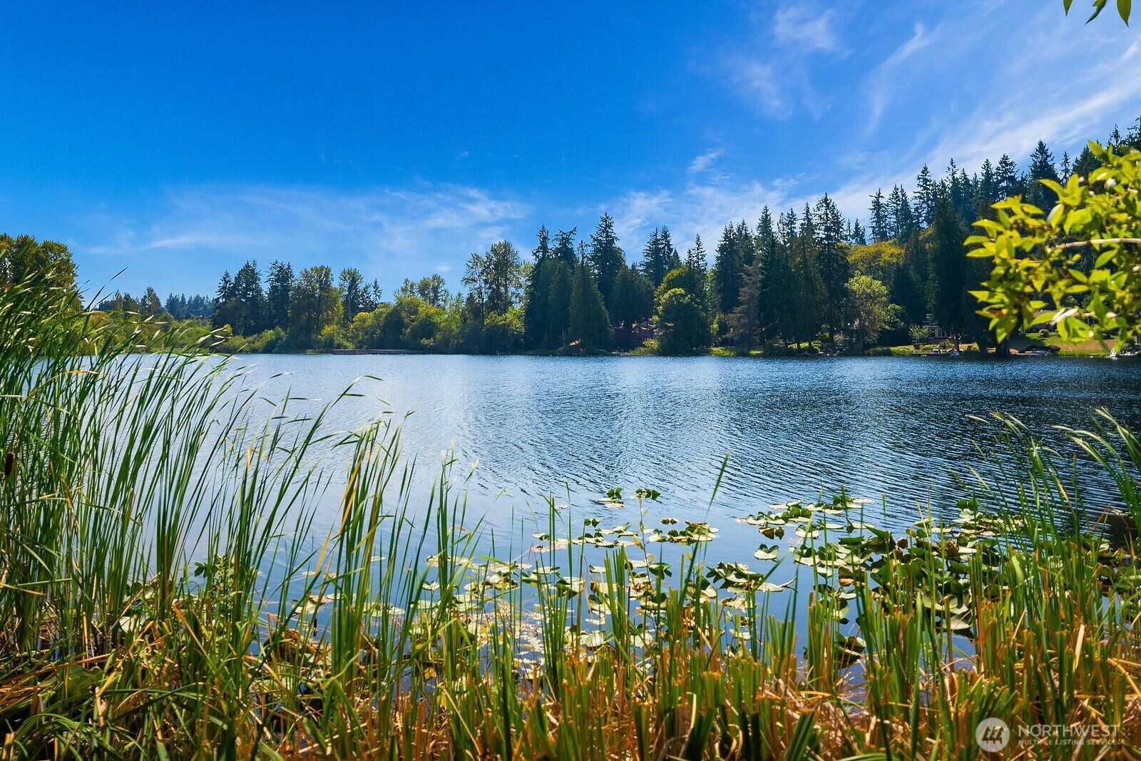 Property Photo:  13059 SE 76th Street  WA 98056 