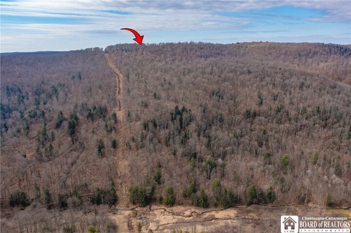 Property Photo:  0 Oak Hill Road  NY 14738 