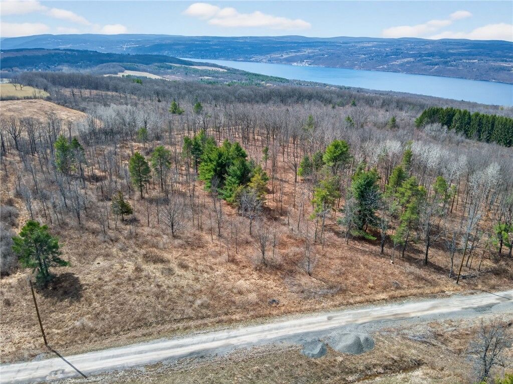 Property Photo: Satterly Hill Road NY 14818