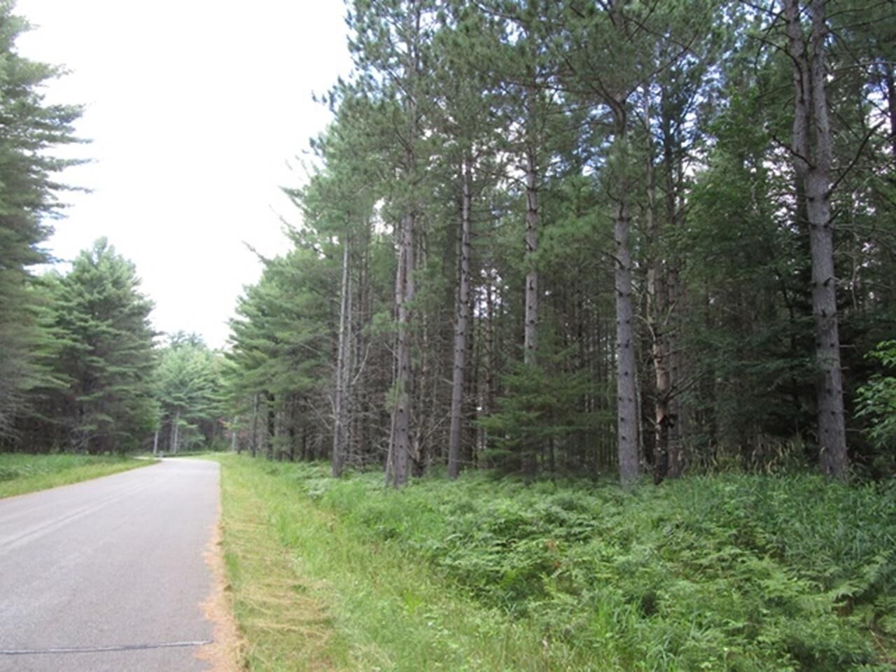 Property Photo: Prcl 18 Camp Nokomis Rd WI 54547