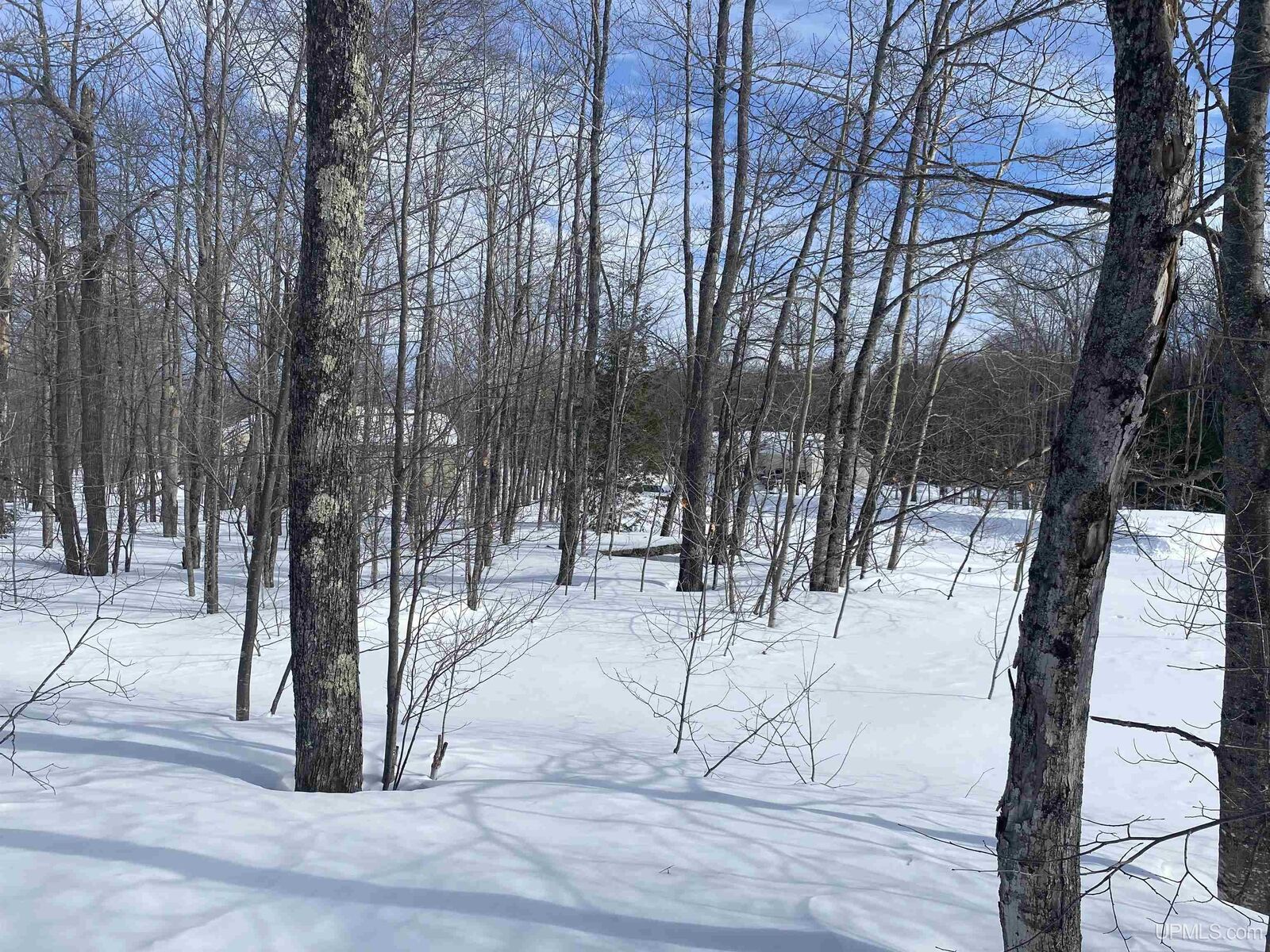 Property Photo:  Tbd Lot 27 S Whealkate Drive  MI 49963 