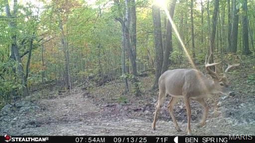 Property Photo:  0 Highway  O  MO 63645 