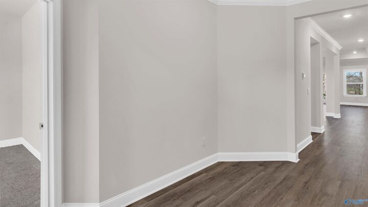 Property Photo: 210 Crane Hollow Lane AL 35811