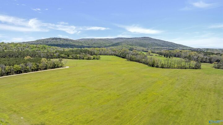 Property Photo: 50.56 Acres Main Street AL 35752