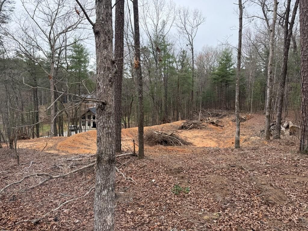 Property Photo:  Lot # 5 Oakwood Trail  GA 30559 