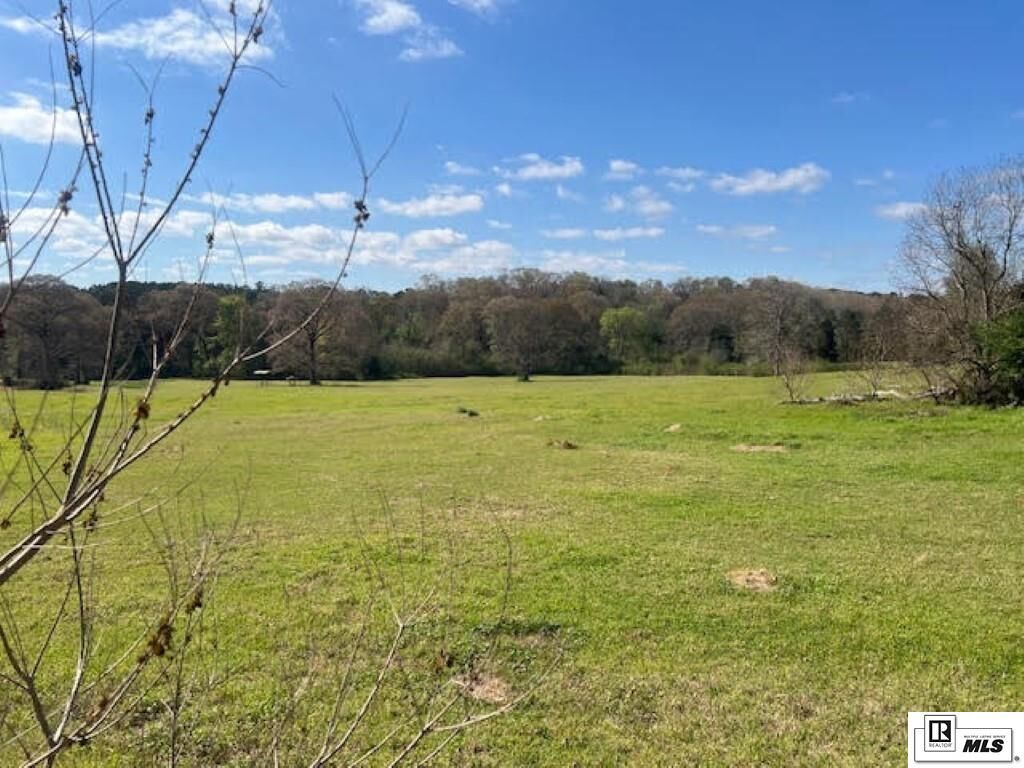 Property Photo:  000 Highway 151  LA 71241 