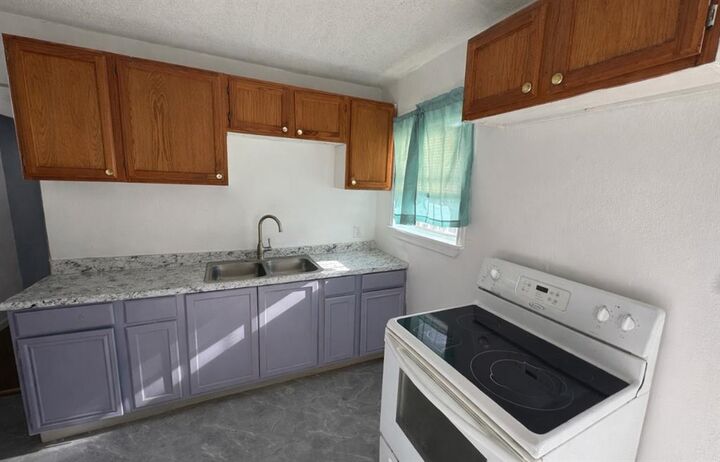 Property Photo:  4203 Bonnie View Road  TX 75216 