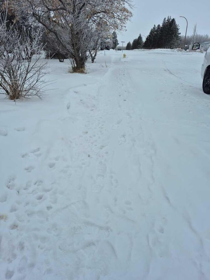 Property Photo: 315 Haultain Avenue AB T0B 2A0