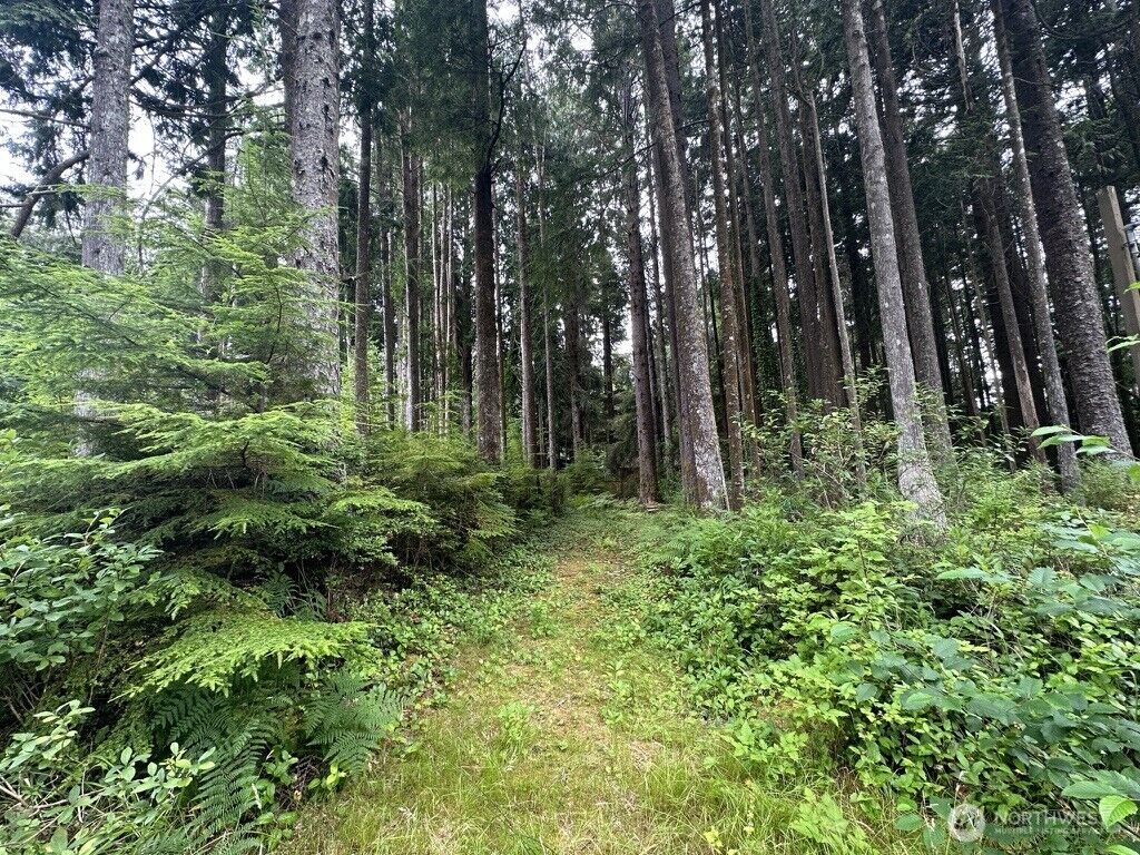 Property Photo: 44 Robin Lane WA 98571