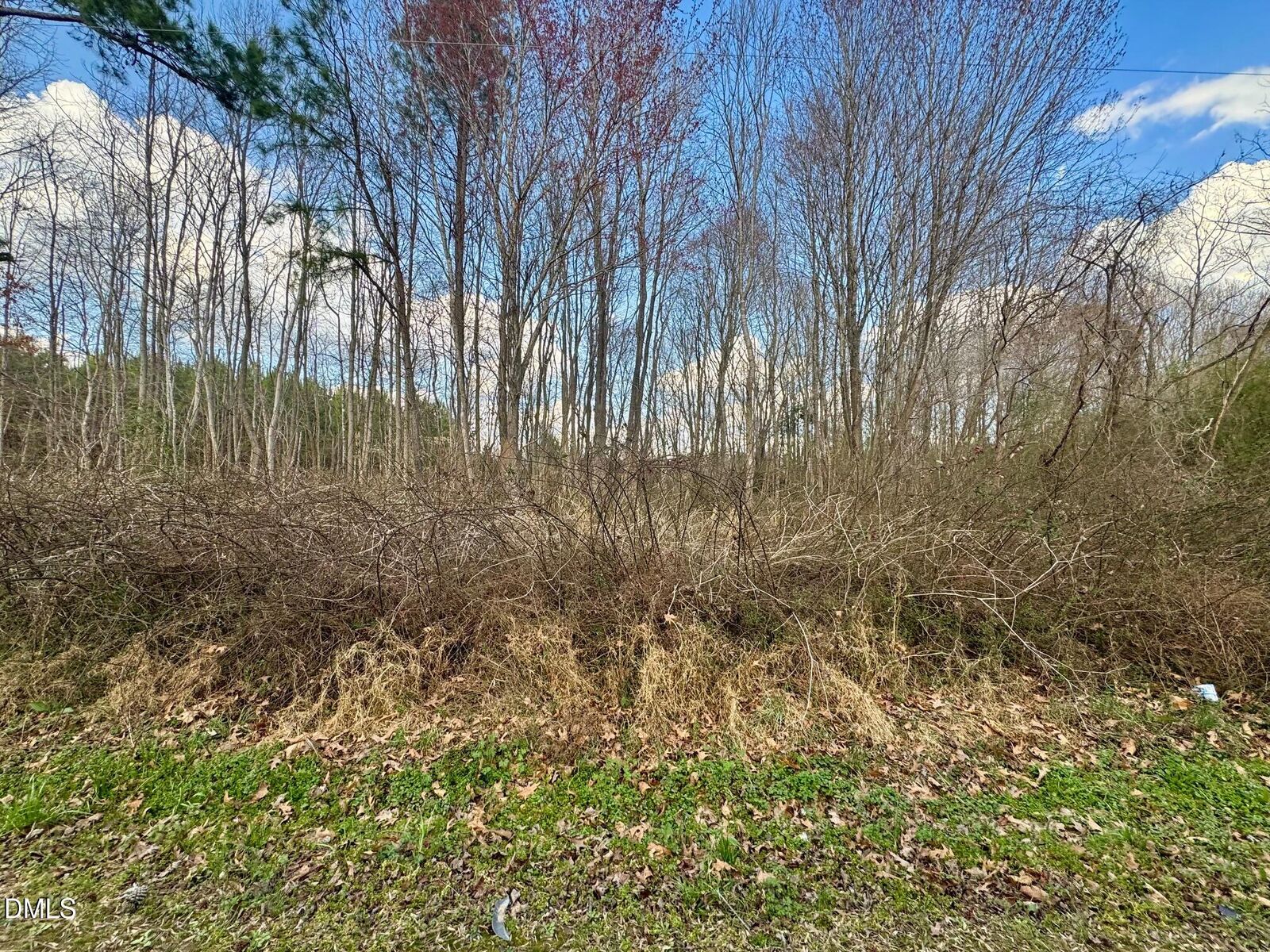 Property Photo:  000 Weldons Mill Road  NC 27537 