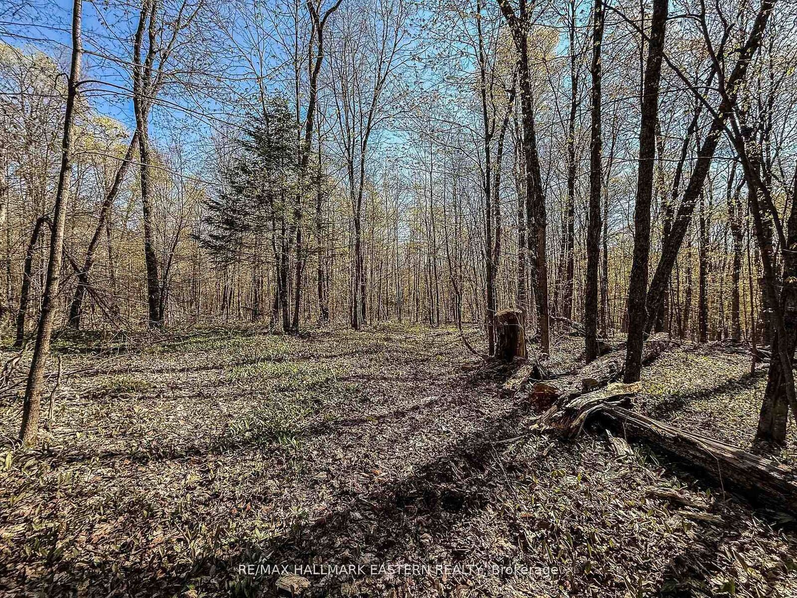 Property Photo:  2494 Hadlington Road  ON K0L 3K0 