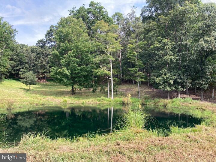 Property Photo: 000 Light Road VA 22603