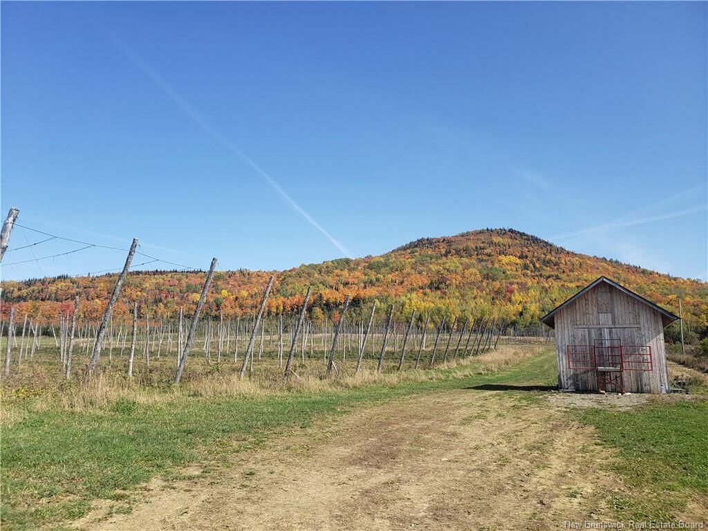 Property Photo:  116 Maplehurst Road  NB E7J 1S1 
