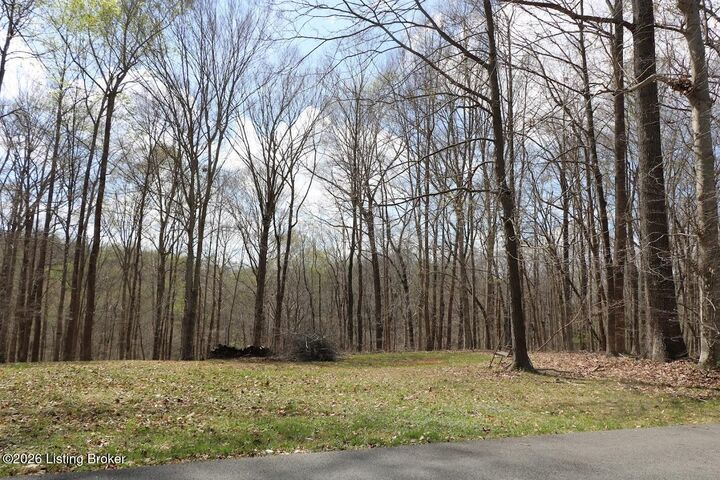 Property Photo:  Lot Lorel Dunbar Ln  KY 42629 
