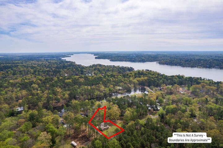 Property Photo: 102 King Henry TX 75480