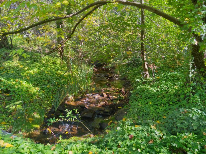 Property Photo:  8436 Wise Road  CA 95603 