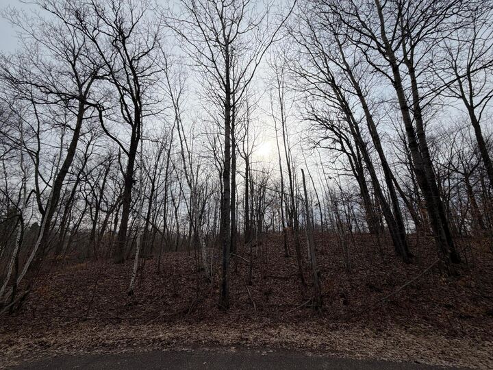 Property Photo:  Tbd Tee Top  MN 56450 