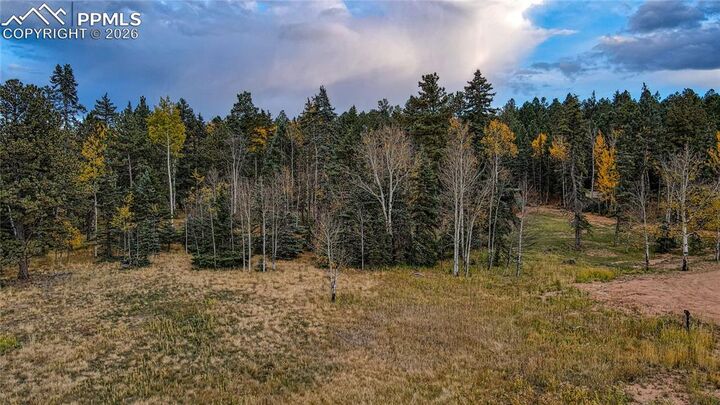 Property Photo:  166 Denwood Drive  CO 80816 
