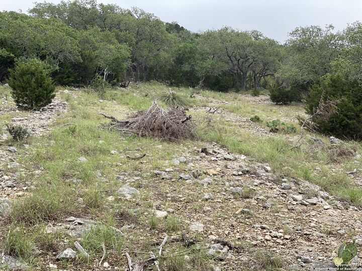 Property Photo:  3726 Morris Lynn  TX 78261 